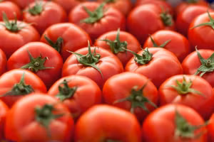 Cà chua chỉnh sửa gen giúp tăng độ ngọt và dinh dưỡng.