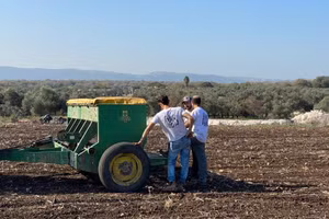 Máy gặt liên hợp của Huna sẽ giúp thu hoạch được cả hạt và thân lúa mì.