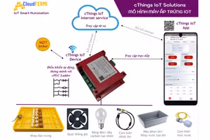 Quy trình ấp trứng tự động sử dụng công nghệ IoT.