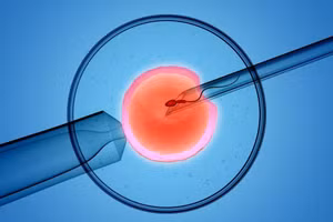 Với phương pháp IVF, trứng và tinh trùng sẽ được gặp nhau và thụ tinh trong ống nghiệm. Ảnh minh hoạ