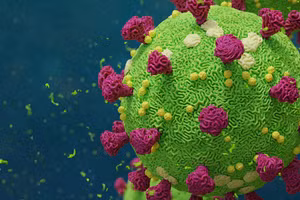 Vắc-xin mới sử dụng các phân tử mARN để dạy tế bào của chính cơ thể tạo ra những đoạn protein của virus.