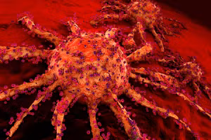 Chất chống oxy hóa như vitamin C và E đã đẩy nhanh sự phát triển và lây lan của ung thư phổi.