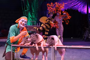 Nhiều chương trình xiếc vui nhộn dành cho các em nhỏ. 