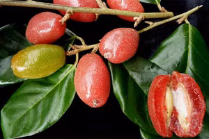 Ảnh minh họa/INT