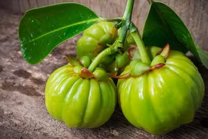 Thành phần Garcinia Cambogia có trong một loại trái cây nhiệt đới, họ măng cụt, có hình dạng giống quả bí ngô nhỏ. 