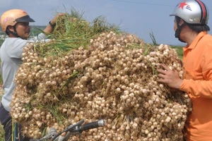 Ảnh minh họa/INT