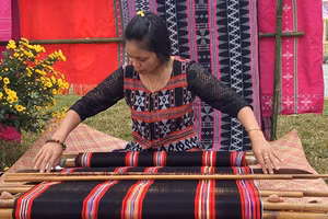 Nhiều hoạt động tại Làng Văn hóa - Du lịch các dân tộc Việt Nam trong tháng 7 để tôn vinh nét văn hóa dân tộc. Ảnh: BQL.