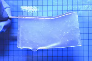 Các nhà khoa học đã ngâm loại gel này trong huyết thanh nhân tố tăng trưởng để thúc đẩy sự phát triển của các mạch máu.