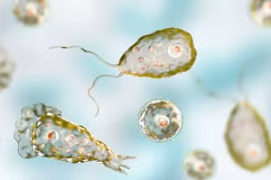 Từ năm 2010, các ca bệnh mắc viêm não do amip bắt đầu xuất hiện ở nhiều bang phía Bắc nước Mỹ hơn.