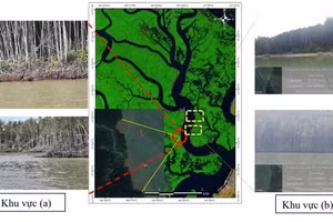 Những khu vực dễ sạt lở được nhóm nghiên cứu chỉ rõ.