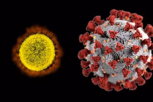 Bệnh nhân đã được ghép phổi vẫn có nguy cơ nhập viện cao hơn nếu mắc Covid-19. 