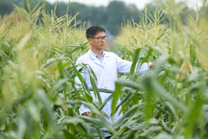 ThS Nguyễn Văn Hà.