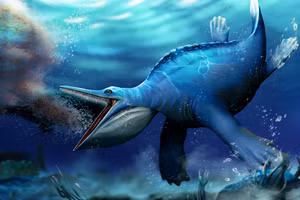 Hupehsuchus nanchangensis sống ở các đại dương của Trái đất từ 247 triệu đến 249 triệu năm trước. 