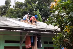 Mái nhà mát mẻ có thể giúp giảm nhiệt độ đáng kể trong nhà. Ảnh: BeCool Indonesia