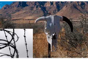 Dây thép gai ngăn gia súc vào lãnh địa của các chủ trại miền Tây nước Mỹ.