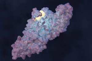 Phân tử mới hạn chế sự sao chép của virus SARS-CoV-2 ban đầu, cũng như các biến thể Delta và Omicron.