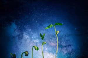 Starlab đặt mục tiêu trồng trọt trên trạm vũ trụ của chính mình. Ảnh: Getty Images