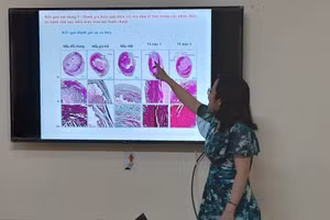 TS Phạm Lê Bửu Trúc trình bày kết quả triển khai nhiệm vụ khoa học - công nghệ của nhóm.