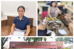 Trường Mầm non Gia Cẩm nơi bà Bùi Thị Mai (góc trái trên cùng) tố Hiệu trưởng (góc phải) có nhiều vi phạm. 