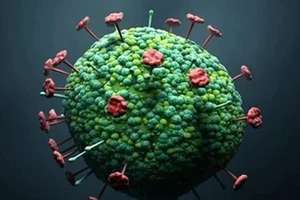 Sốt là triệu chứng phổ biến nhất ở những người bị nhiễm virus LayV. Ảnh minh họa