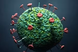 Sốt là triệu chứng phổ biến nhất ở những người bị nhiễm virus LayV. Ảnh minh họa