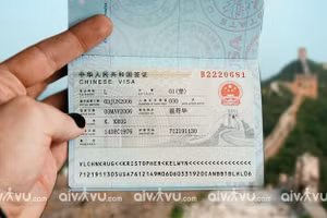 Ảnh minh họa/INT