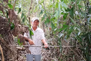 Ông Hai Chìa dùng cách riêng để nhận biết khi có người đến săn bắn chim, cò, vạc.
