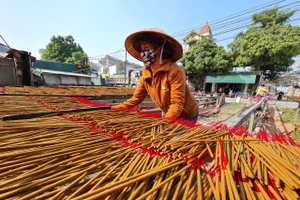 Làng hương trăm tuổi tất bật vào vụ Tết