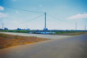 Khu quy hoạch đấu giá quyền sử dụng 56 lô đất ở xã Quỳnh Hưng.