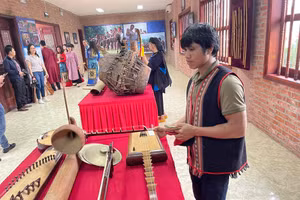 Nhạc cụ dân tộc cần được bình đẳng với các nhạc cụ đương đại. Ảnh: Bộ VH,TT&DL