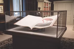 Sách được trưng bày tại phòng lưu trữ Đại học Transylvania là những ấn bản đời đầu, hiếm với giá trị lên đến hàng nghìn USD.