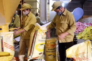 Thức ăn thương hiệu Con Heo Vàng phục vụ thị trường chăn nuôi.