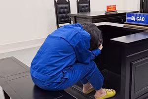 Nguyễn Thị Việt tại phiên tòa xét xử.