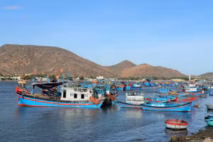 Chợ Nại hấp dẫn du khách bởi nét dân dã đặc trưng của miền biển. Chợ nằm ở một địa thế đẹp mà hiếm khu chợ quê nào có được, với cảnh sắc thiên nhiên núi non, sông biển, thuyền bè tấp nập.