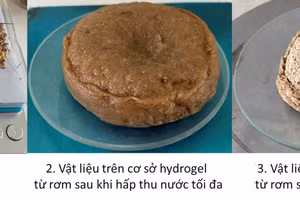 Vật liệu giữ ẩm từ rơm rạ tăng độ phì nhiêu cho đất.