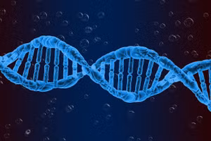 Hiện chưa tìm thấy gen nào gây ra bệnh lupus ban đỏ. Ảnh minh họa