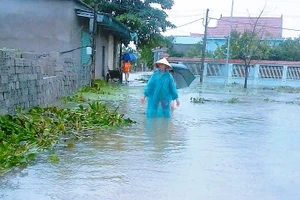 Huyện Yên Thành có nhiều xã đường giao thông bị ngập