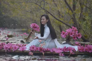 Hoa súng nhuộm hồng suối Yến những ngày đầu đông.