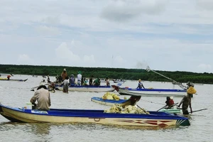 Người dân khai thác nghêu giống tại bãi nghêu