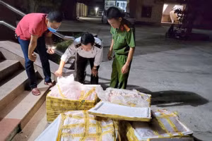 Lực lượng chức năng ngăn chặn phương tiện chở nội tạng động vật không rõ nguồn gốc.