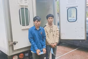 Hai đối tượng có hành vi cướp giật tài sản bị bắt giữ.