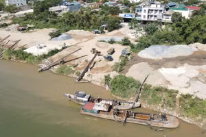 Bãi tập kết cát trái phép công khai hoạt động nhiều năm.