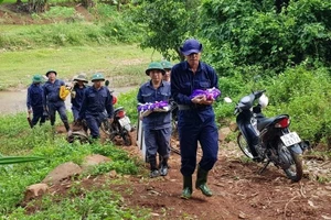 Lực lượng thuộc Đoàn Kinh tế - Quốc phòng 337 quy tập hài cốt liệt sĩ. 