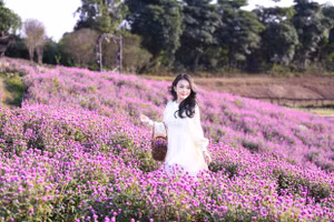 Đẹp ngỡ ngàng cánh đồng hoa bách nhật nở rộ như trời Âu giữa lòng Hà Nội