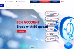Mất tiền tỷ khi tham gia sàn forex trái phép