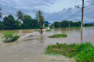 Sáng nay tại tuyến đường dẫn vào thôn Từ Tâm, xã Phước Hải, huyện Ninh Phước bị ngập cục bộ. (Ảnh: Quốc Hải).