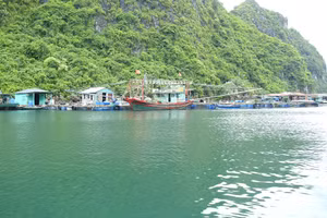 Khu vực làng chài Cửa Vạn. (Ảnh: Minh Cương)