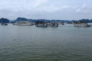 Tàu du lịch chở khách tham quan vịnh Hạ Long. Ảnh: Minh Cương