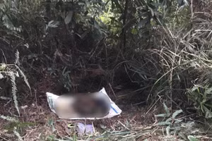 Hiện trường vụ việc.