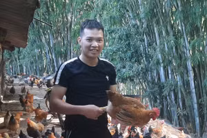 Anh Trần Đăng Hạnh khởi nghiệp thành công từ nuôi gà Tiên Yên.